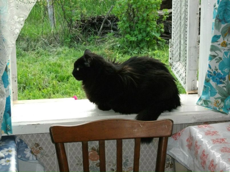 Сергей Паршин ZVEZDEC | Томилино