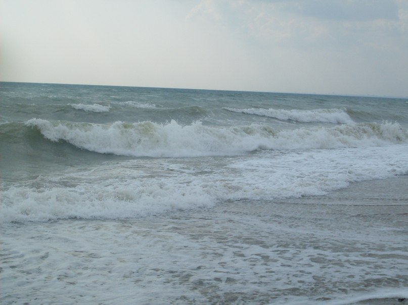 Светлана Воробьёва | Пушкин