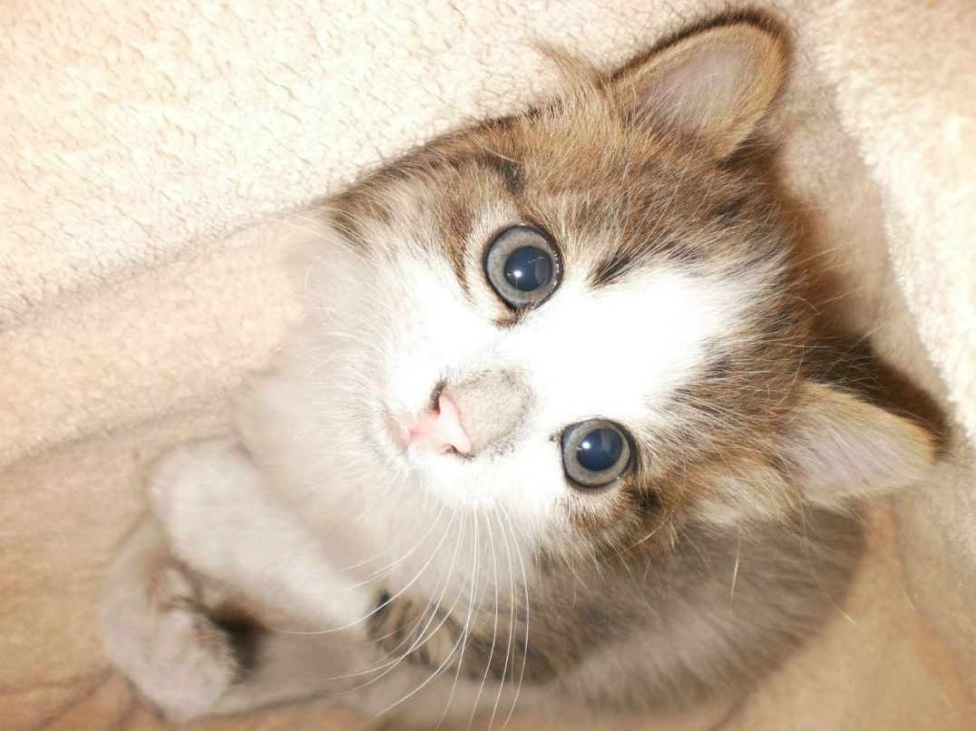 Зинаида Гусева | Макеевка