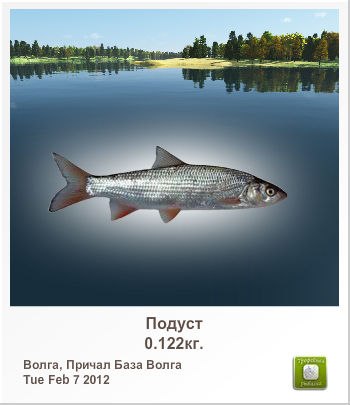 Сергей Седых SMILE | Днепр (Днепропетровск)