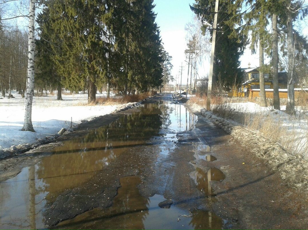 Роман Янись | Сиверский