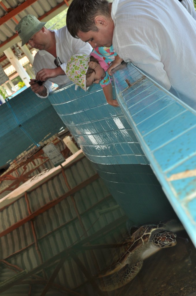 Людмила Сграбилова | Барнаул