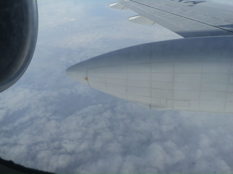 Екатерина Шамшиева | Уфа