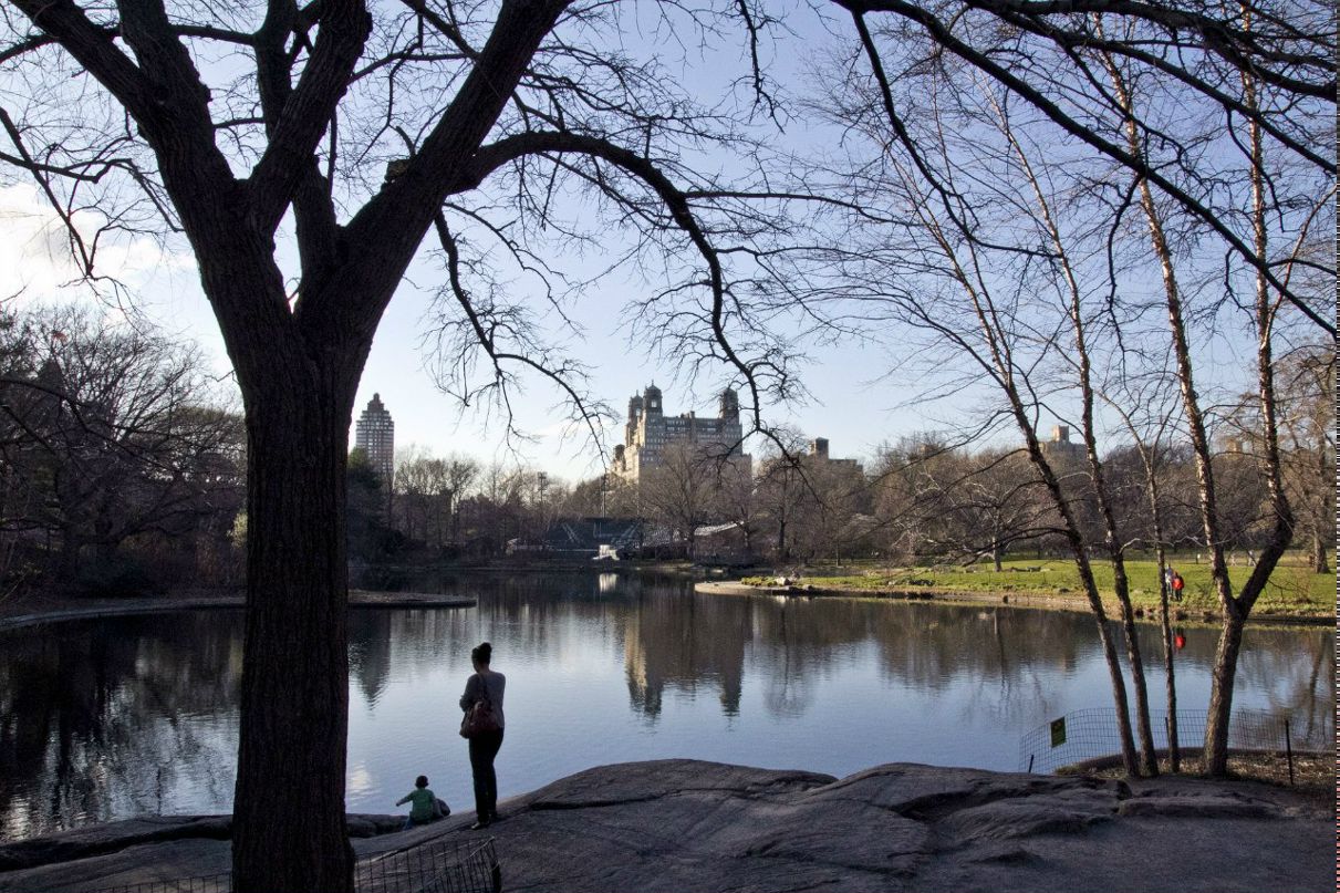 Александр Долгов | Пермь