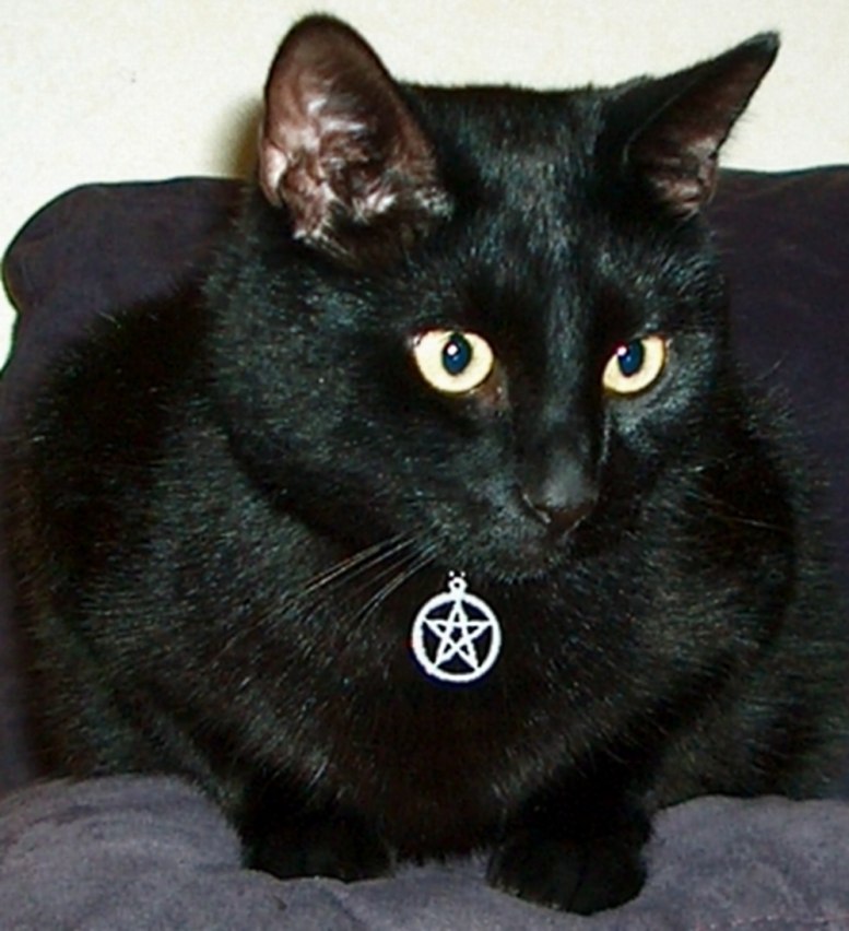 Фіалкора Микитенко | Киев