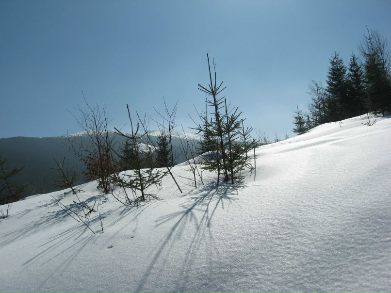 Роман Пастух | Львов