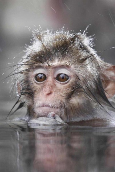 Виктор Шумилов | Санкт-Петербург