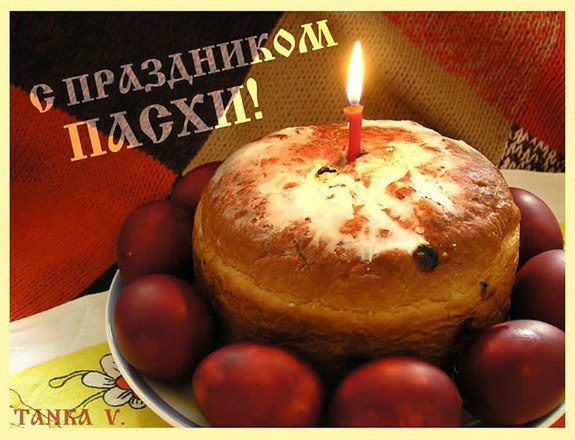 Катерина Добрицкая | Запорожье