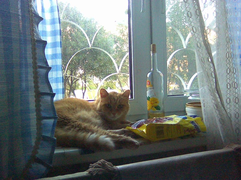 Татьяна Ванчикова | Валдай