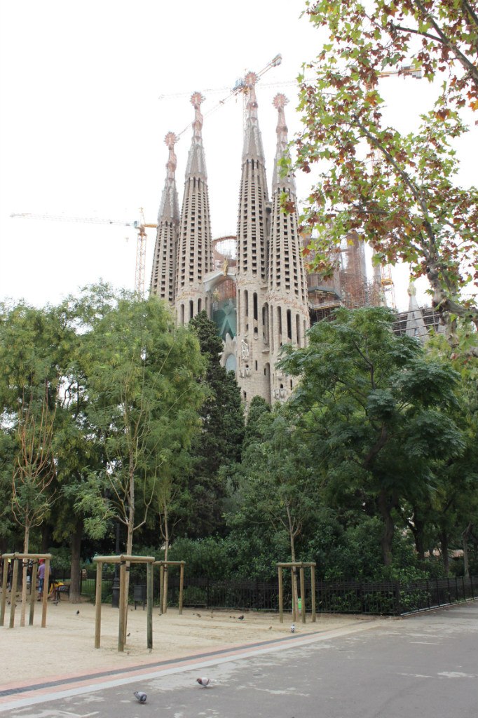 Татьяна Стрельникова | Воронеж