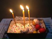 №5 Антон Жестовский 25.12: профиль, фото, статус - ВКонтакте №5 Антон Жестовский 25.12: профиль, фото, статус - ВКонтакте