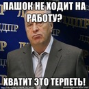 №14 Андрей Елисеев
