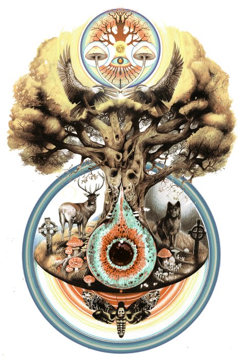 Алексей Петров | Киев