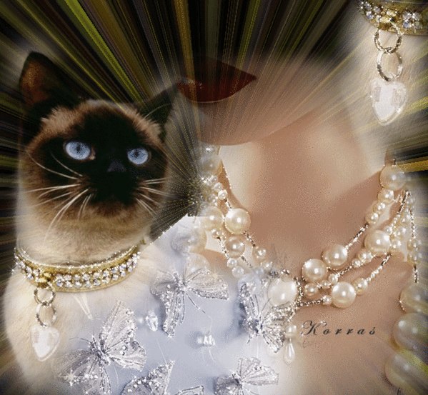 Лариса Прокопенко | 