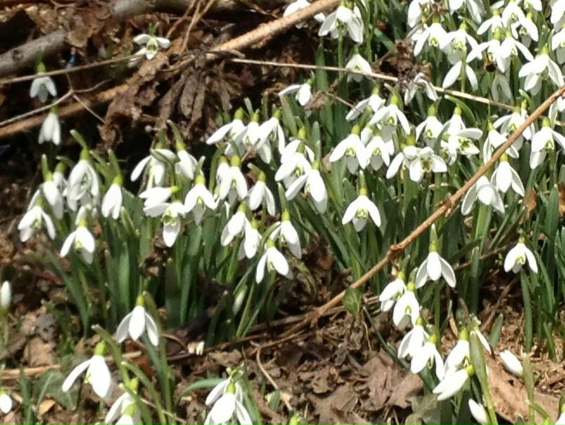 №121, Natali Zaikina, Батуми, Грузия №121, Natali Zaikina, Батуми, Грузия