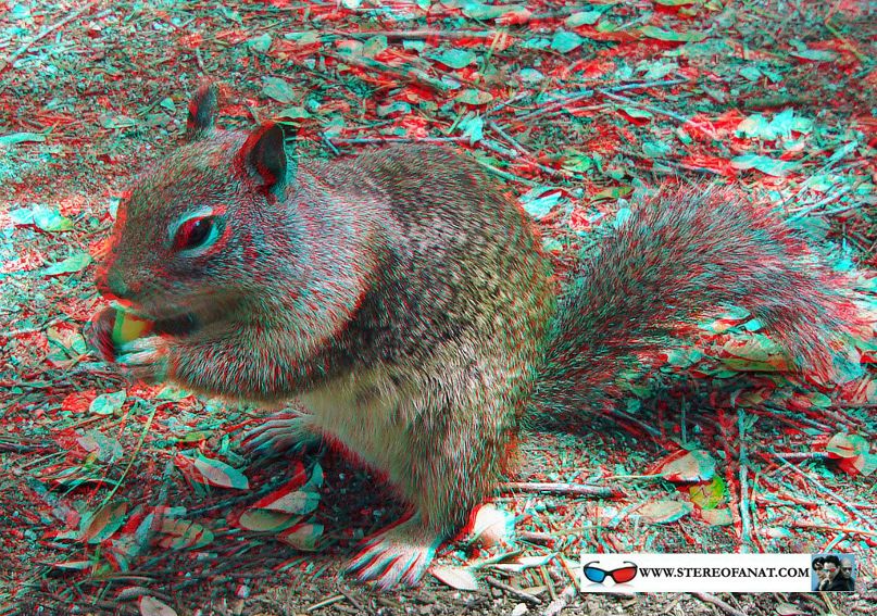 Вия Головщикова | Москва