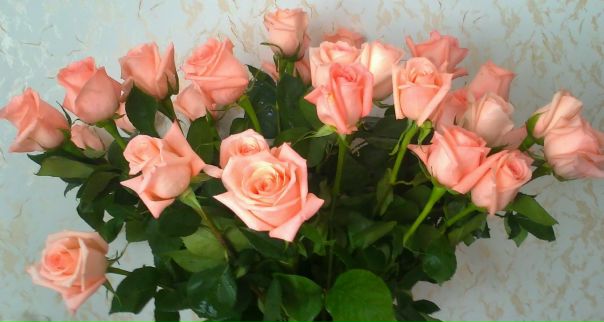 №25, Елизавета Хакимова, Пермь, Россия №25, Елизавета Хакимова, Пермь, Россия