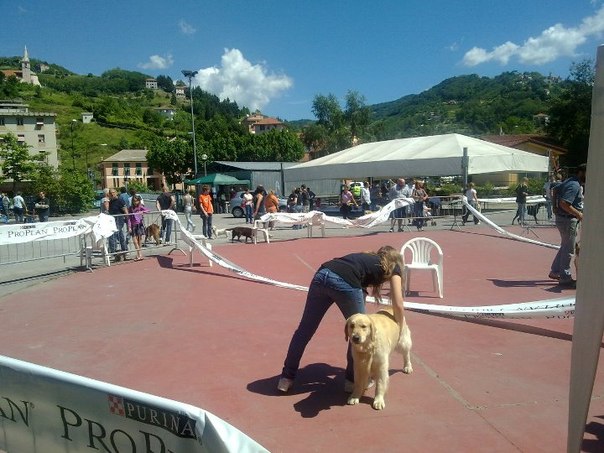 №75, Camilla Torre, 31 год, London №75, Camilla Torre, 31 год, London