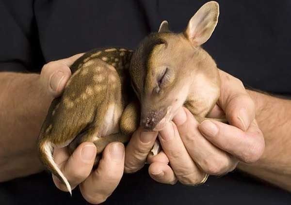 №3, Анна Зулінська, 40 лет, Тернополь №3, Анна Зулінська, 40 лет, Тернополь