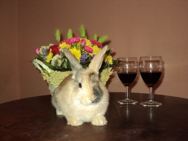 Светлана Егорова | Кириши