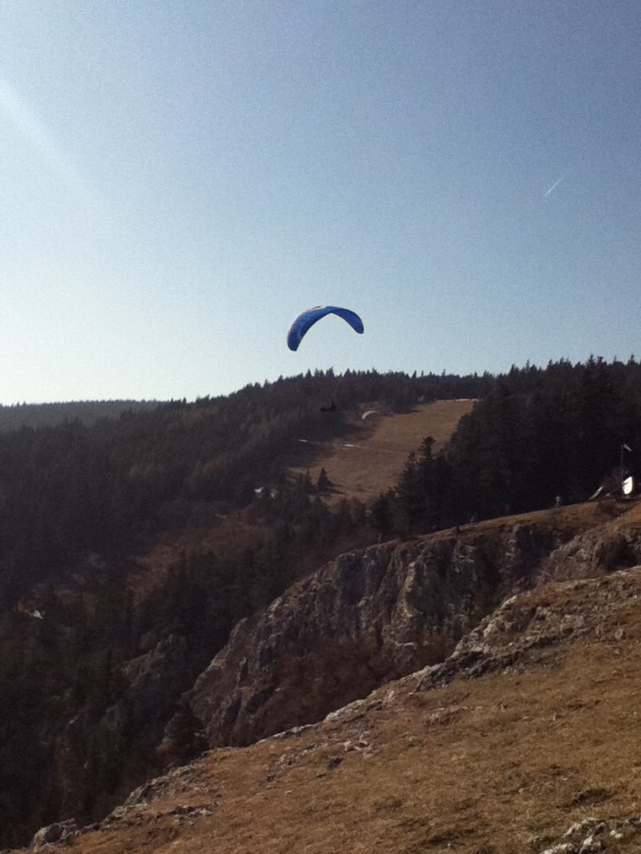 Polina Korytova | Brno