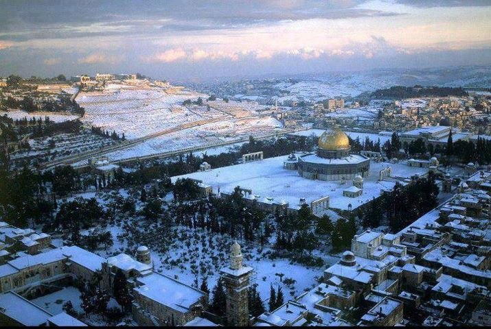 Ибрахим Давуд | Москва