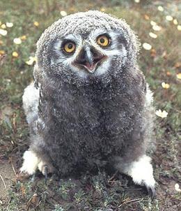 Татьяна Полякова Tanius | Москва