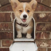 Александр Сергеев