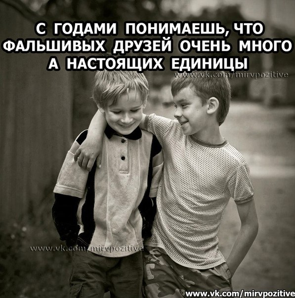 обзор картинки про лживого друга полных