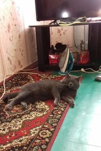 Олег Бондаренко