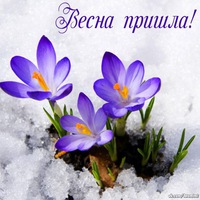 Ольга Жукова