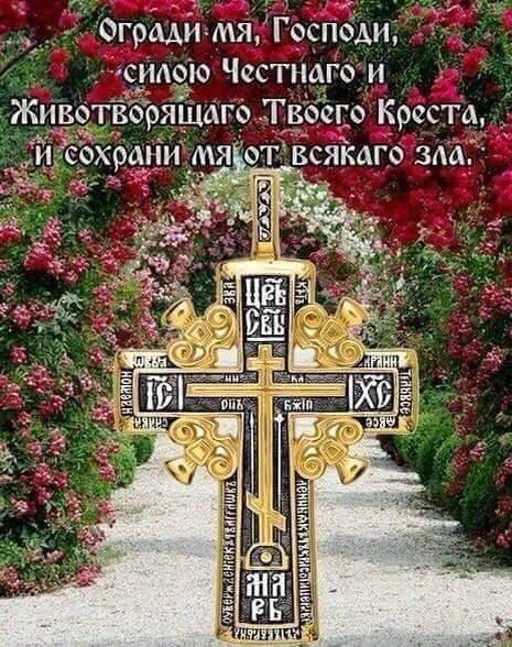 Людмила Тимофеева, Россия, Нижнекамск