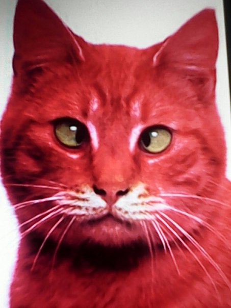 Степан Голубев, Россия, Челябинск