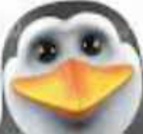 Лиза Новикова, Россия, Самара