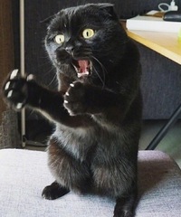 Александр Сергеев