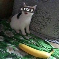Александр Беляков