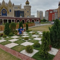 Николай Петров