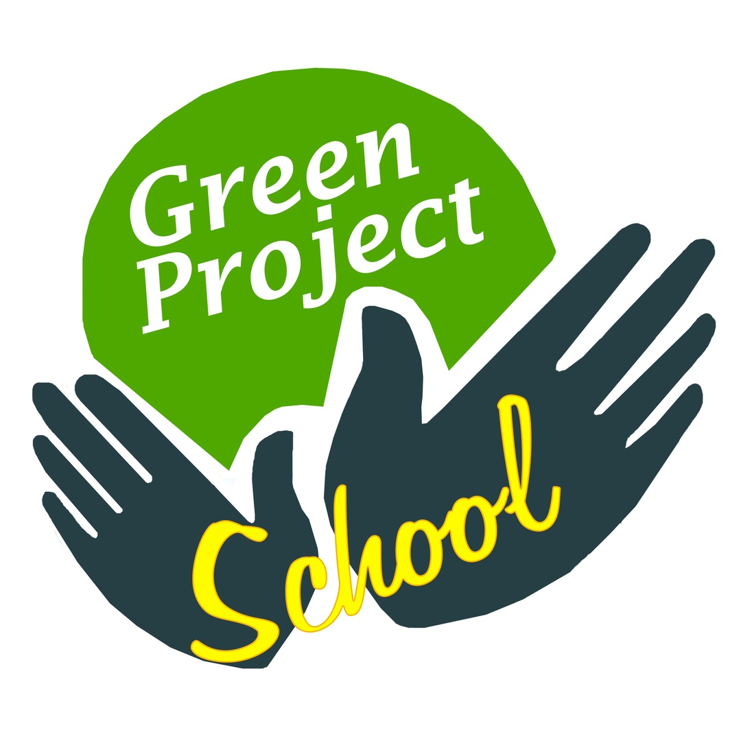 Афиша Красноярск Green Project School