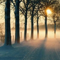 Никита Яценко | Харьков