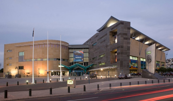 Музей те папа тонгарева в веллингтоне. Музей те папа тонгарева в веллингтоне. Национальный музей те-папа-тонгарева. Музей новой зеландии те папа тонгарева. Те папа тонгарева.