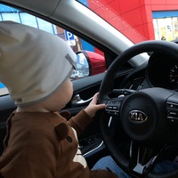 Владимир Николаевич