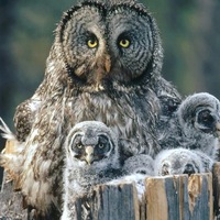 Никита Суслов | Екатеринбург