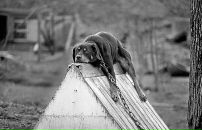 №39 Stanislav Ardentov 30.01: профиль, фото, статус - ВКонтакте