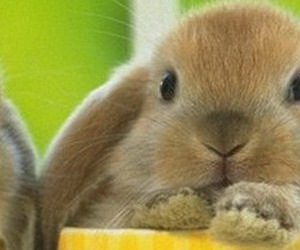 №39, Елена Шувалова, 38 лет, Тула №39, Елена Шувалова, 38 лет, Тула