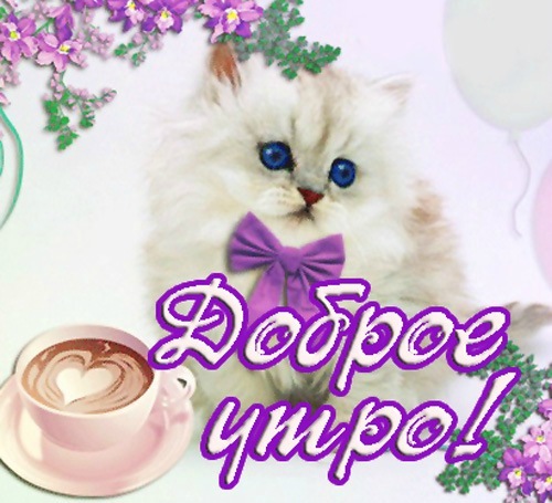 №55, Макс Веретьев, Вологда, Россия №55, Макс Веретьев, Вологда, Россия