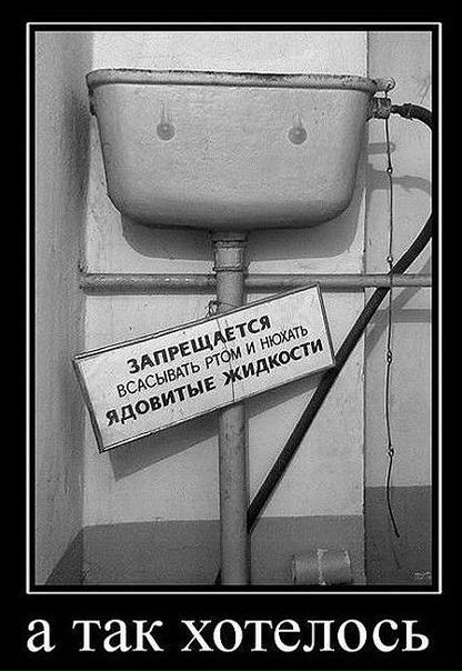 №113, Епишь Оней, Киев №113, Епишь Оней, Киев