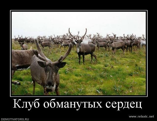№40, Игорь Владимирович, Киев №40, Игорь Владимирович, Киев