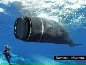 №27 Алексей Антипов 26.09.1975: профиль, фото, статус - ВКонтакте