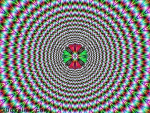 №15, Алла Анисимова №15, Алла Анисимова