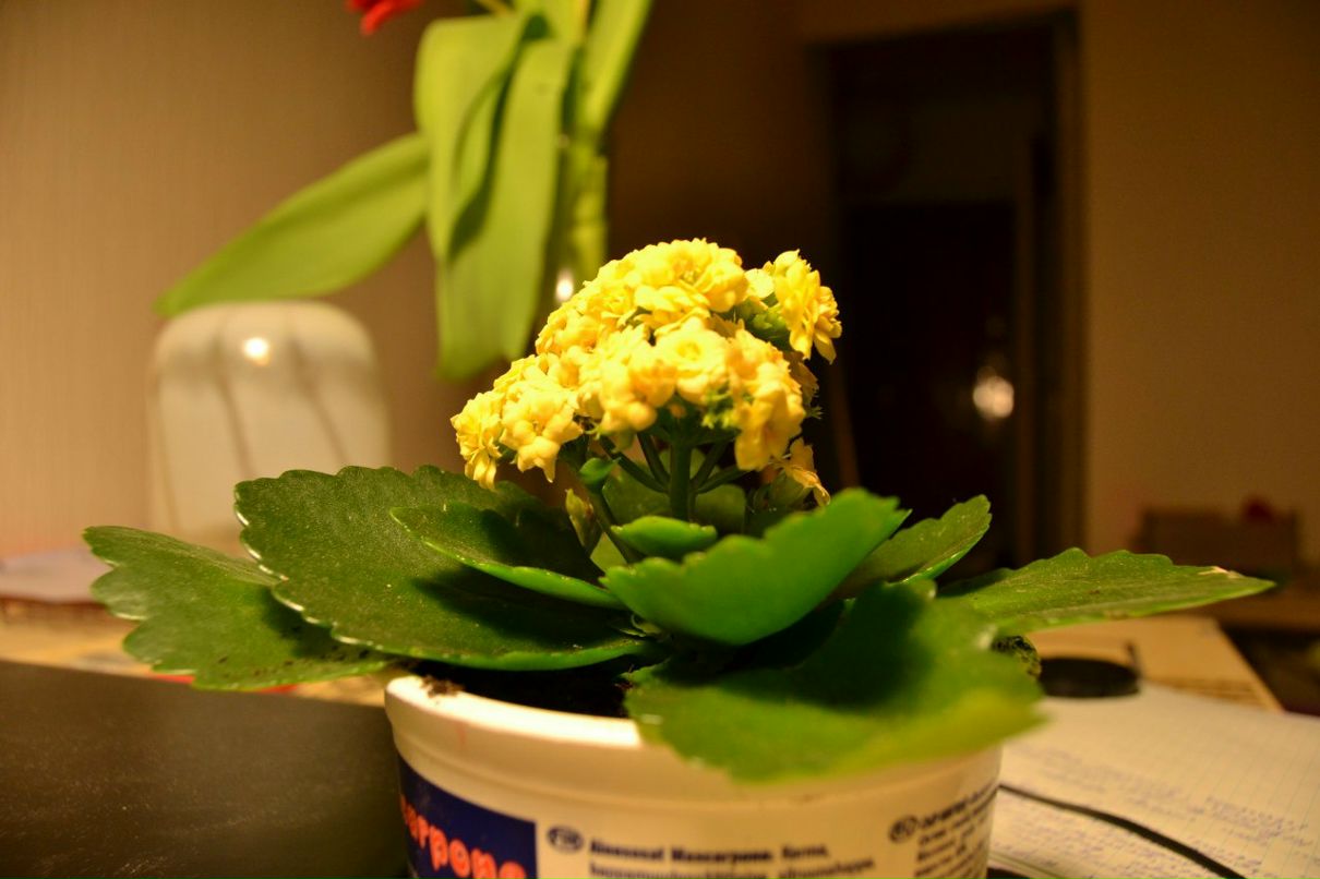 Александр Лазарев SLOGUNMAN | Тюмень